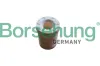 Staubschutzsatz, Stoßdämpfer Vorderachse Borsehung B10028 Bild Staubschutzsatz, Stoßdämpfer Vorderachse Borsehung B10028