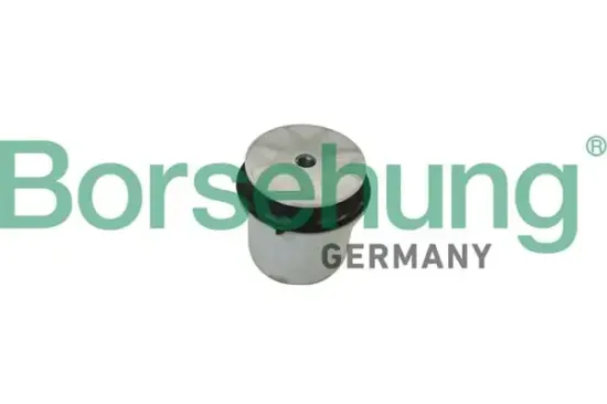 Lagerung, Achskörper Hinterachse Borsehung B10030 Bild Lagerung, Achskörper Hinterachse Borsehung B10030