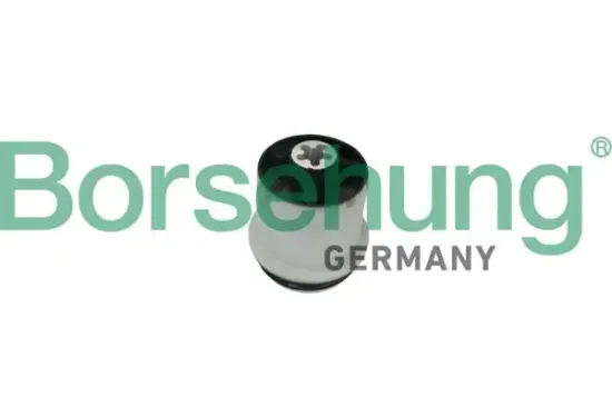 Lagerung, Achskörper Hinterachse Borsehung B10030 Bild Lagerung, Achskörper Hinterachse Borsehung B10030