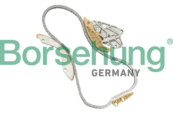 Steuerkettensatz Borsehung B10204