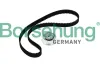 Zahnriemensatz Borsehung B10219