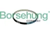 Keilriemen Borsehung B10234