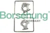 Steuerkettensatz Borsehung B10243