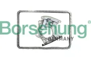 Steuerkettensatz Borsehung B10244