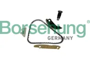 Steuerkettensatz Borsehung B10254