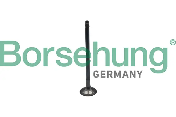 Auslassventil Borsehung B10324