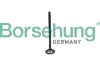 Auslassventil Borsehung B10324