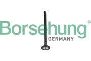 Auslassventil Borsehung B10324