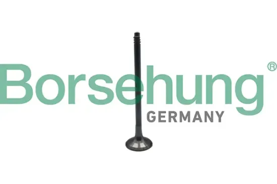 Auslassventil Borsehung B10324 Bild Auslassventil Borsehung B10324