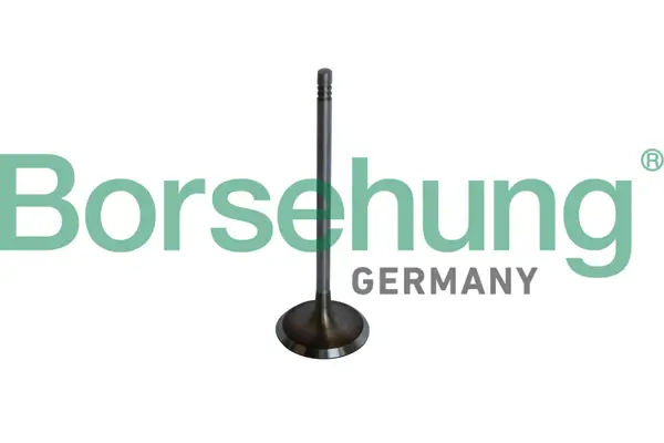 Einlassventil Borsehung B10325