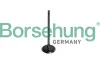 Einlassventil Borsehung B10325