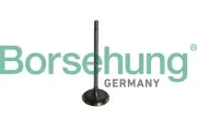 Einlassventil Borsehung B10325