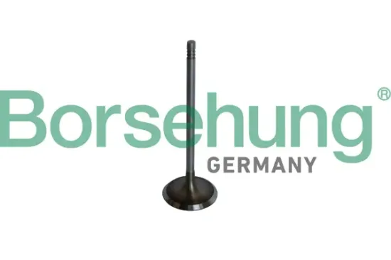 Einlassventil Borsehung B10325 Bild Einlassventil Borsehung B10325