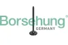 Auslassventil Borsehung B10326
