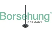 Auslassventil Borsehung B10326