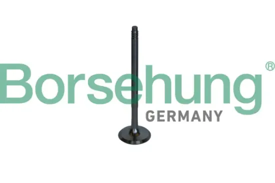 Auslassventil Borsehung B10326 Bild Auslassventil Borsehung B10326