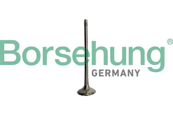 Auslassventil Borsehung B10335