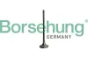 Auslassventil Borsehung B10335