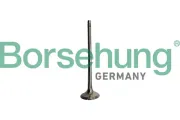 Auslassventil Borsehung B10335