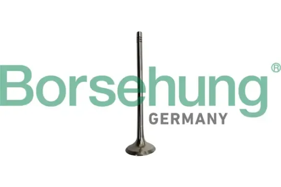 Auslassventil Borsehung B10335 Bild Auslassventil Borsehung B10335