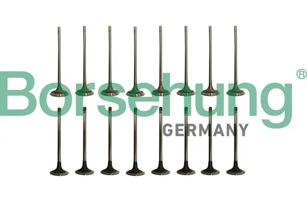 Ventilsatz, Einlass-/Auslassventil Borsehung B10337