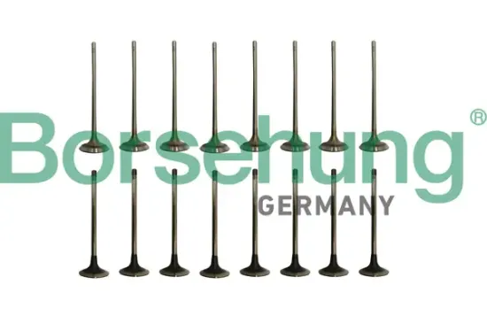 Ventilsatz, Einlass-/Auslassventil Borsehung B10337 Bild Ventilsatz, Einlass-/Auslassventil Borsehung B10337