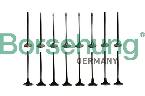 Ventilsatz, Einlass-/Auslassventil Borsehung B10338