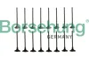 Ventilsatz, Einlass-/Auslassventil Borsehung B10338