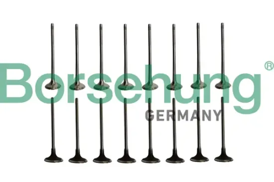 Ventilsatz, Einlass-/Auslassventil Borsehung B10338 Bild Ventilsatz, Einlass-/Auslassventil Borsehung B10338