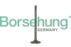 Kolbenringsatz Borsehung B10347