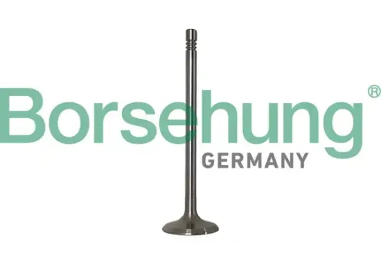 Kolbenringsatz Borsehung B10347 Bild Kolbenringsatz Borsehung B10347