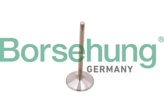 Kolbenringsatz Borsehung B10348 Bild Kolbenringsatz Borsehung B10348