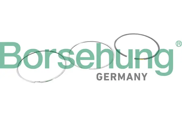 Kolbenringsatz Borsehung B10364