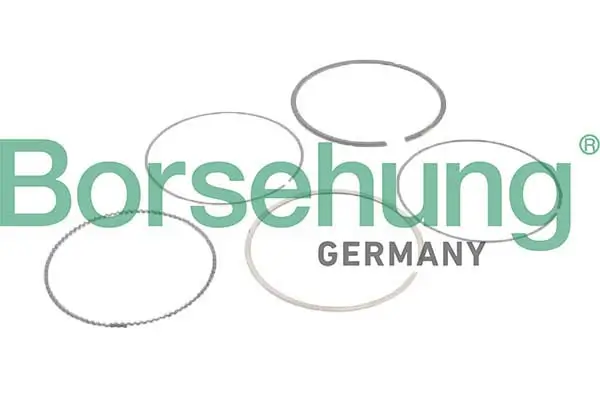 Kolbenringsatz Borsehung B10373