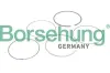 Kolbenringsatz Borsehung B10373