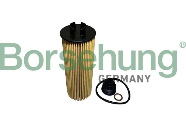 Ölfilter Borsehung B10436