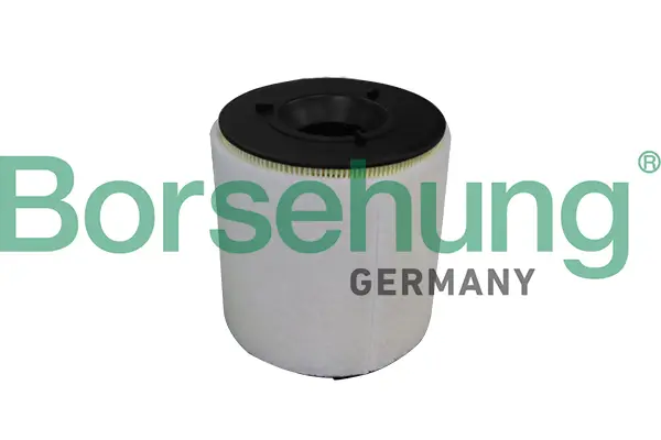 Luftfilter Borsehung B10539