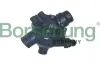 Thermostat, K&uuml;hlmittel Borsehung B10552