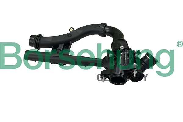 Radlagersatz Borsehung B15625