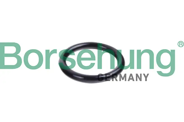 Dichtring, Kühlmittelrohrleitung Borsehung B10632