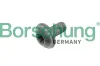 Schraube, Bremsscheibe Borsehung B10635