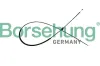 Motorhaubenzug Borsehung B10780