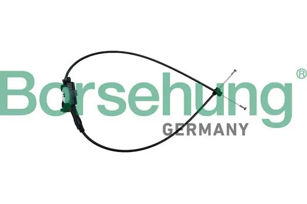Motorhaubenzug Borsehung B10781