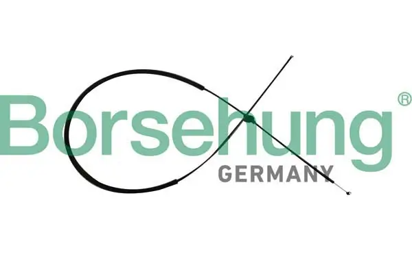 Motorhaubenzug Borsehung B10782