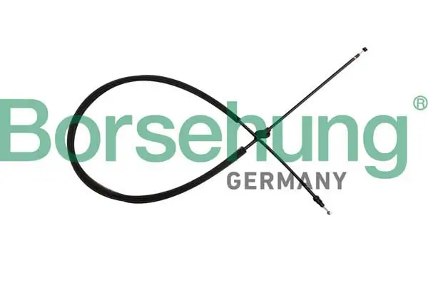 Motorhaubenzug Borsehung B10784