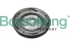 Schwungrad Borsehung B10918