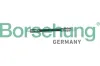 Bremsschlauch hinten Borsehung B10946