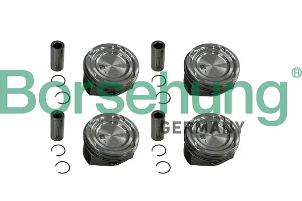 Steuerkettensatz Borsehung B16294