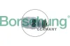 Einspritzventil Borsehung B11164 Bild Einspritzventil Borsehung B11164