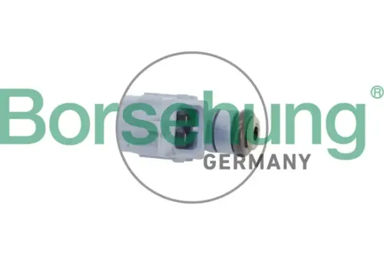 Einspritzventil Borsehung B11164 Bild Einspritzventil Borsehung B11164